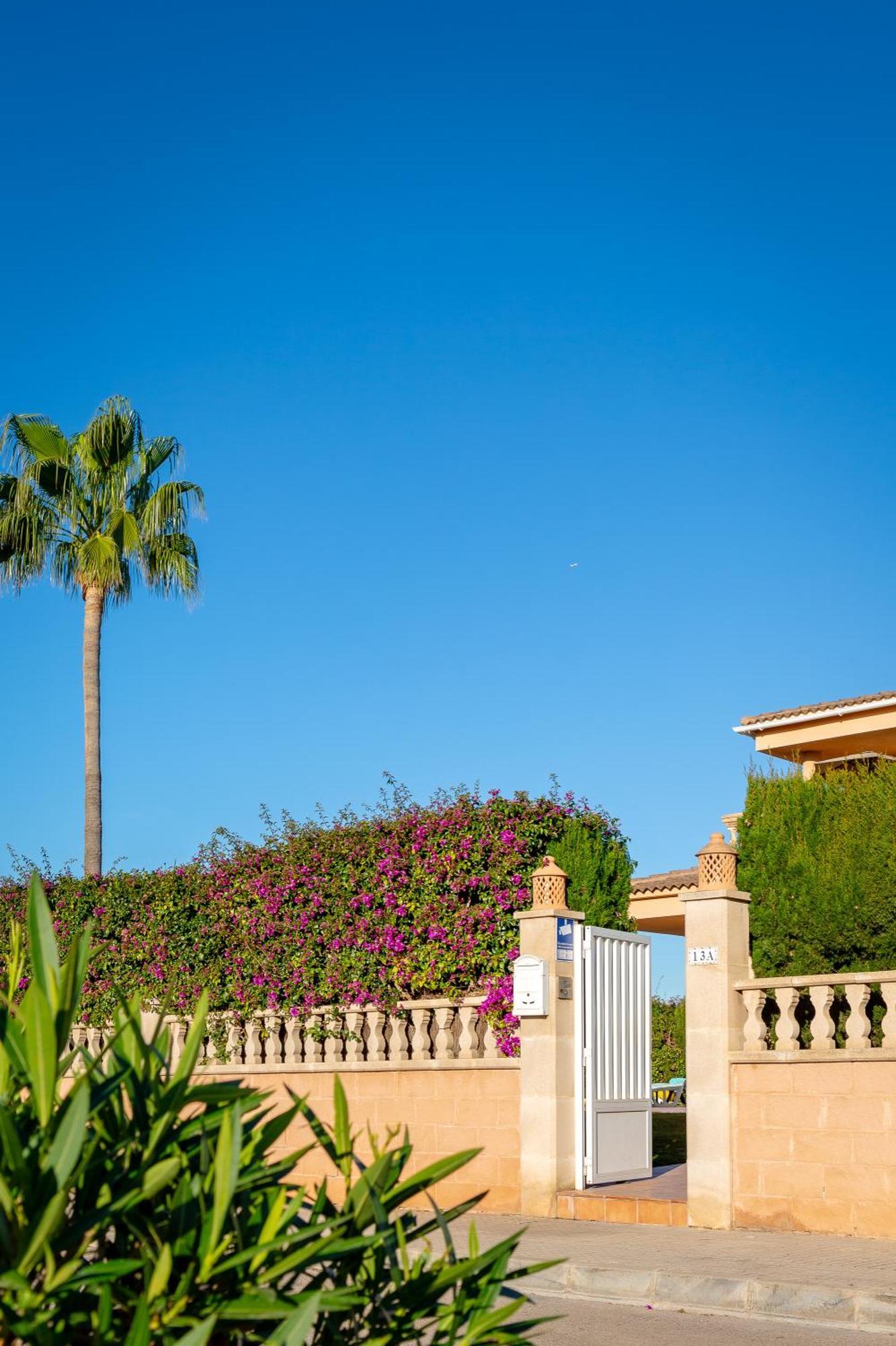 Villa Palmera Palma de Maiorca Exterior foto