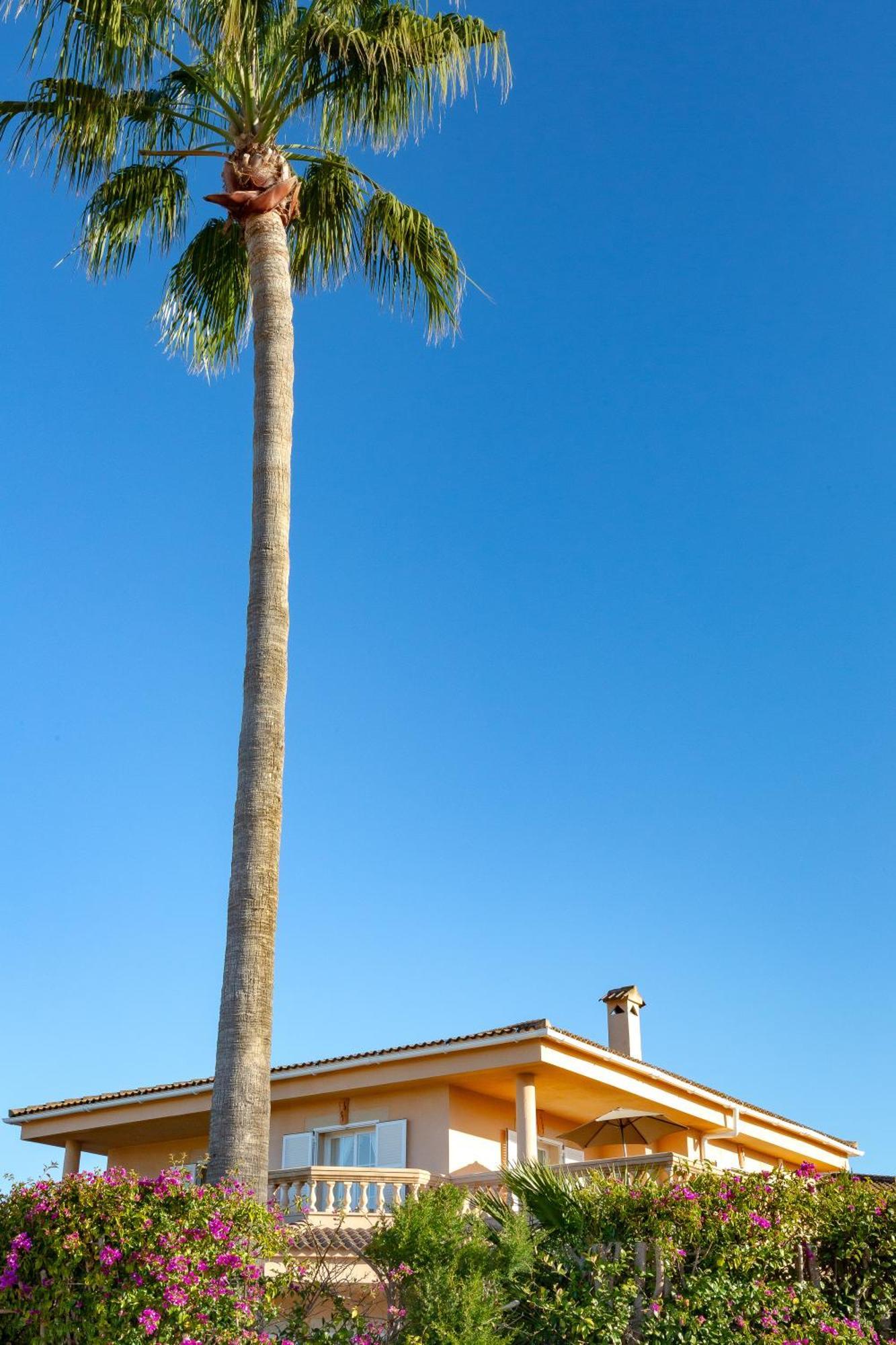 Villa Palmera Palma de Maiorca Exterior foto