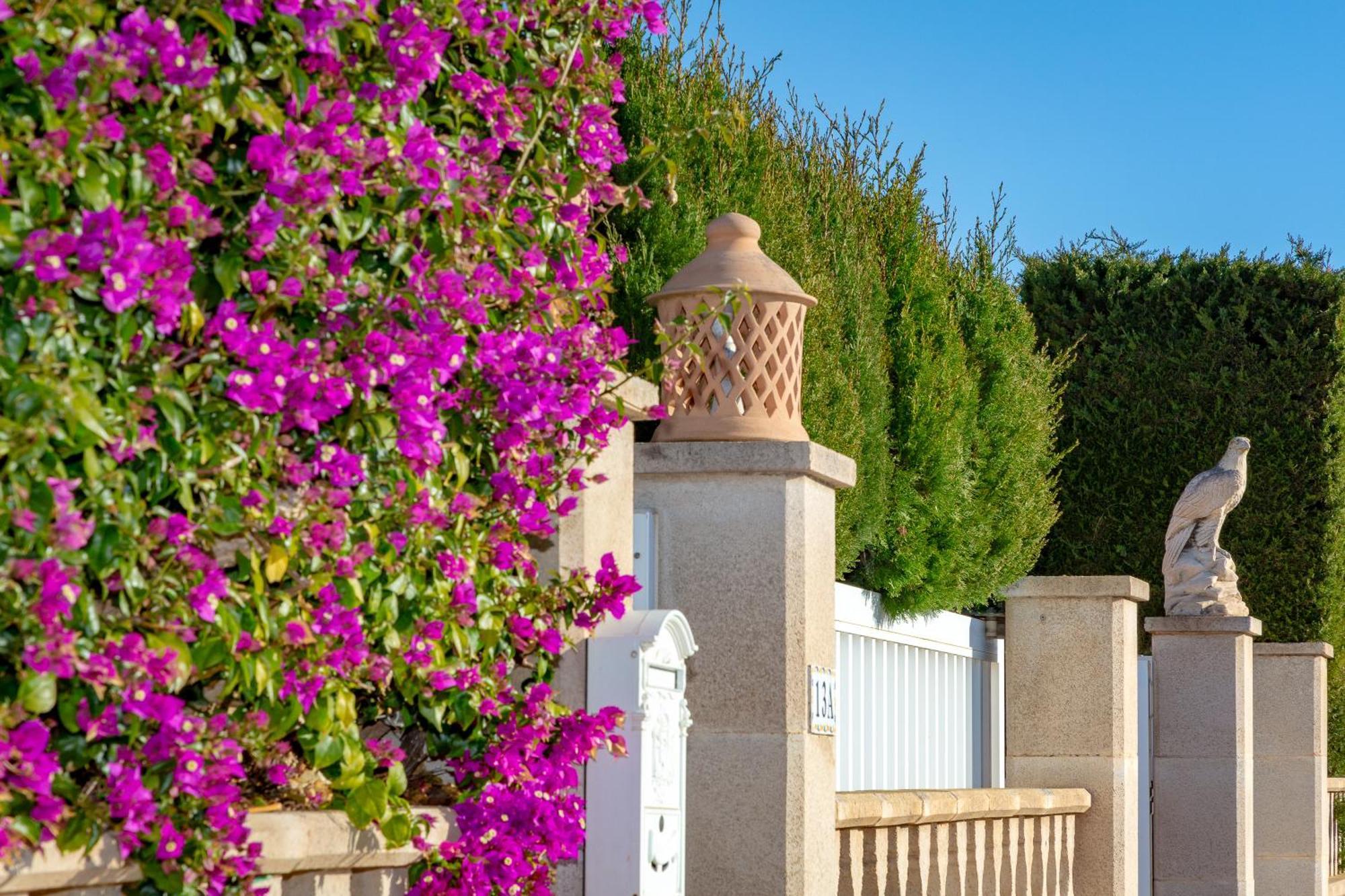 Villa Palmera Palma de Maiorca Exterior foto